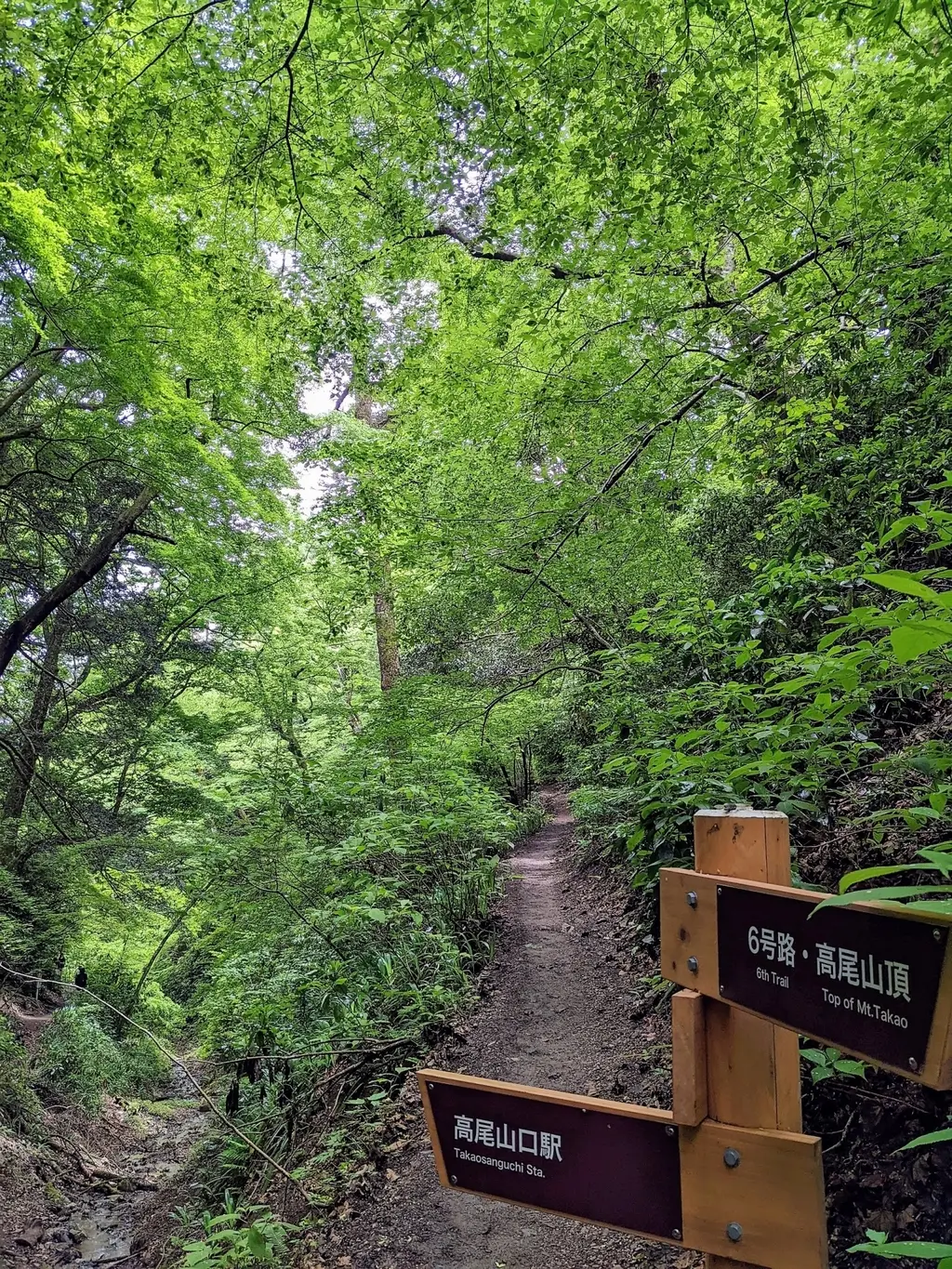 高尾山の登山コースと絶景