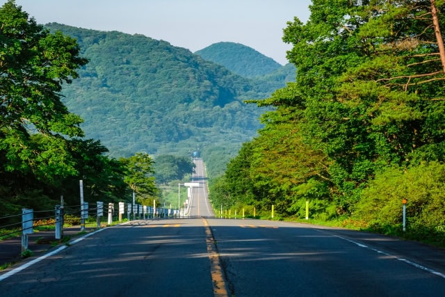 榛名公園近くの直線道路