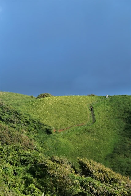 ユウスゲ公園全景