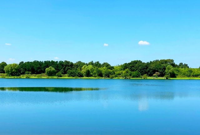 荒川河川敷