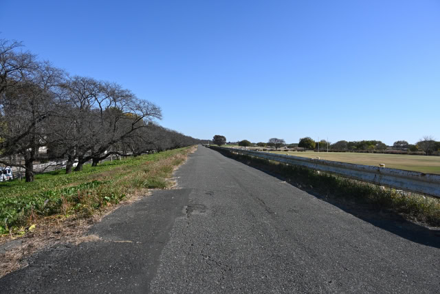 熊谷付近の荒川サイクリングロード