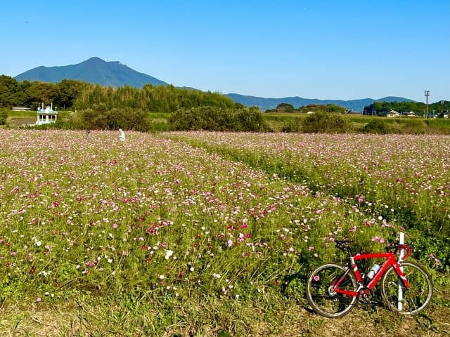 筑波山を望む