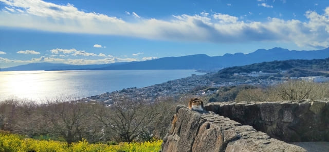 吾妻山からは海が見える
