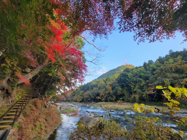 御岳渓谷の紅葉