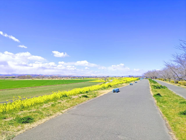 荒川サイクリングロード
