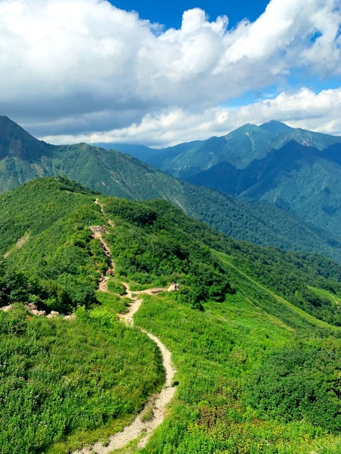 夏の谷川岳