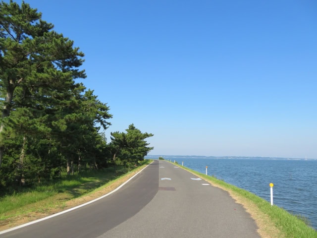 りんりんロード和田公園付近