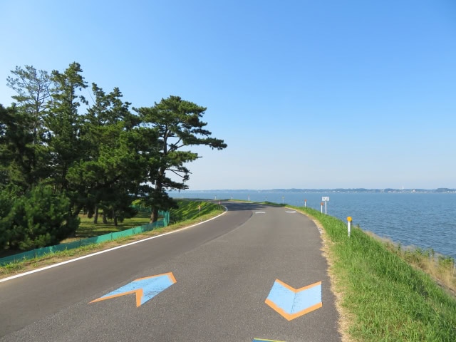 りんりんロード