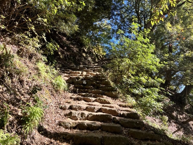 大山の女坂