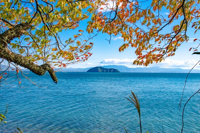 琵琶湖