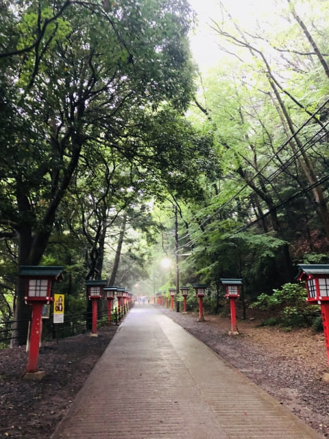 雨の日の高尾山は空いている