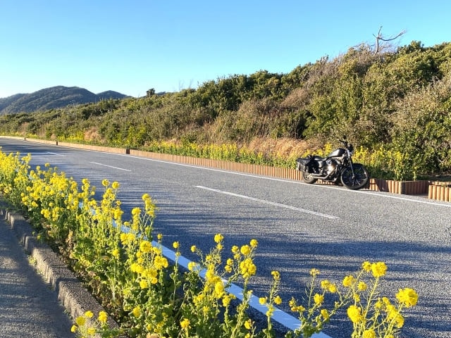 房総フラワーライン