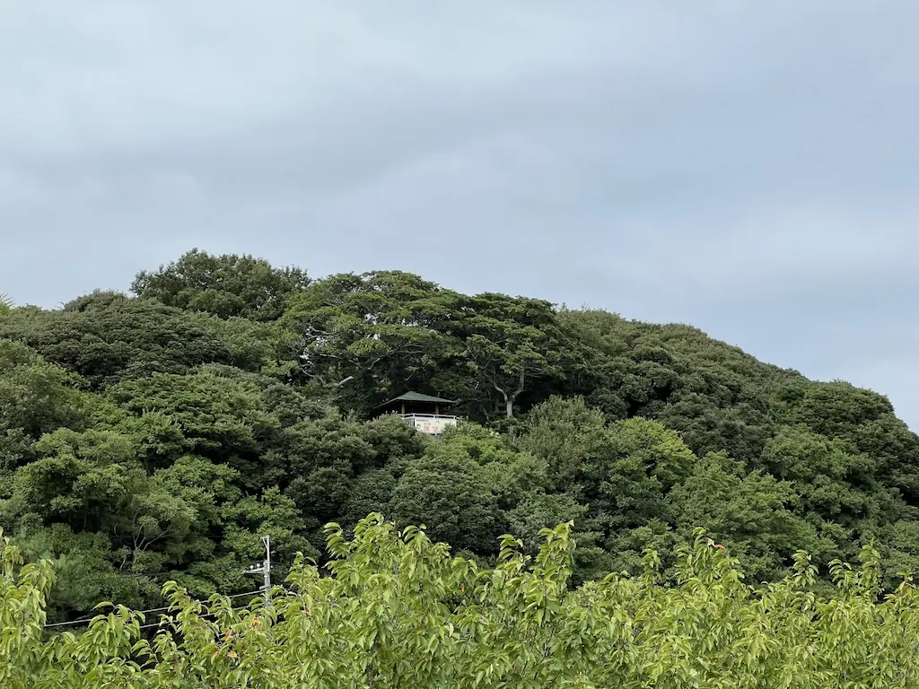 歩崎展望台からの霞ヶ浦の眺望