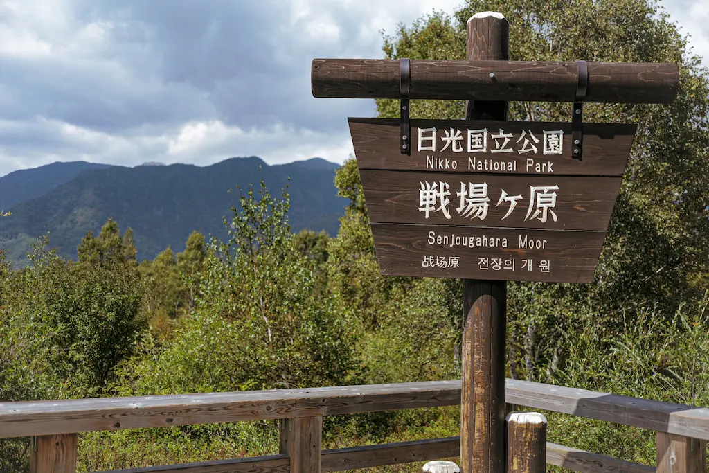 戦場ヶ原展望台からの男体山眺望