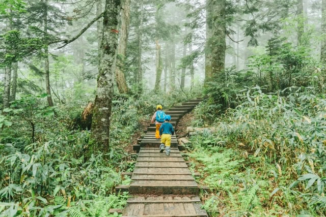 子ども登山