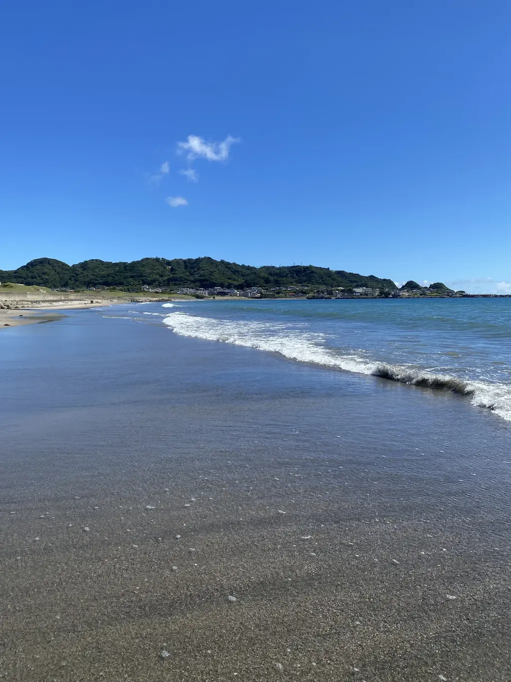 平砂浦海岸の白砂青松の美しい海岸線