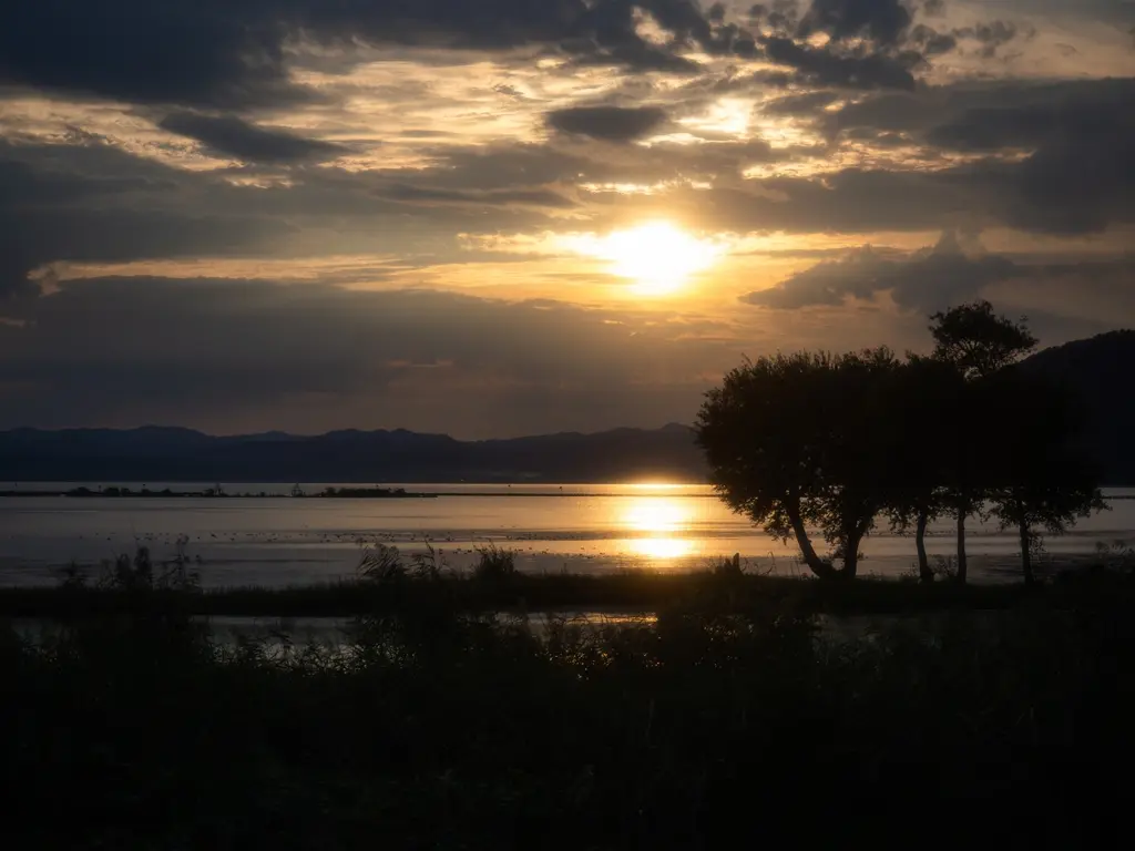 道の駅 湖北みずどりステーション