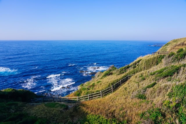 三浦半島の海岸線
