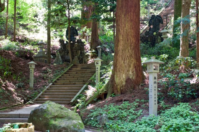 最乗寺の巨スギ群