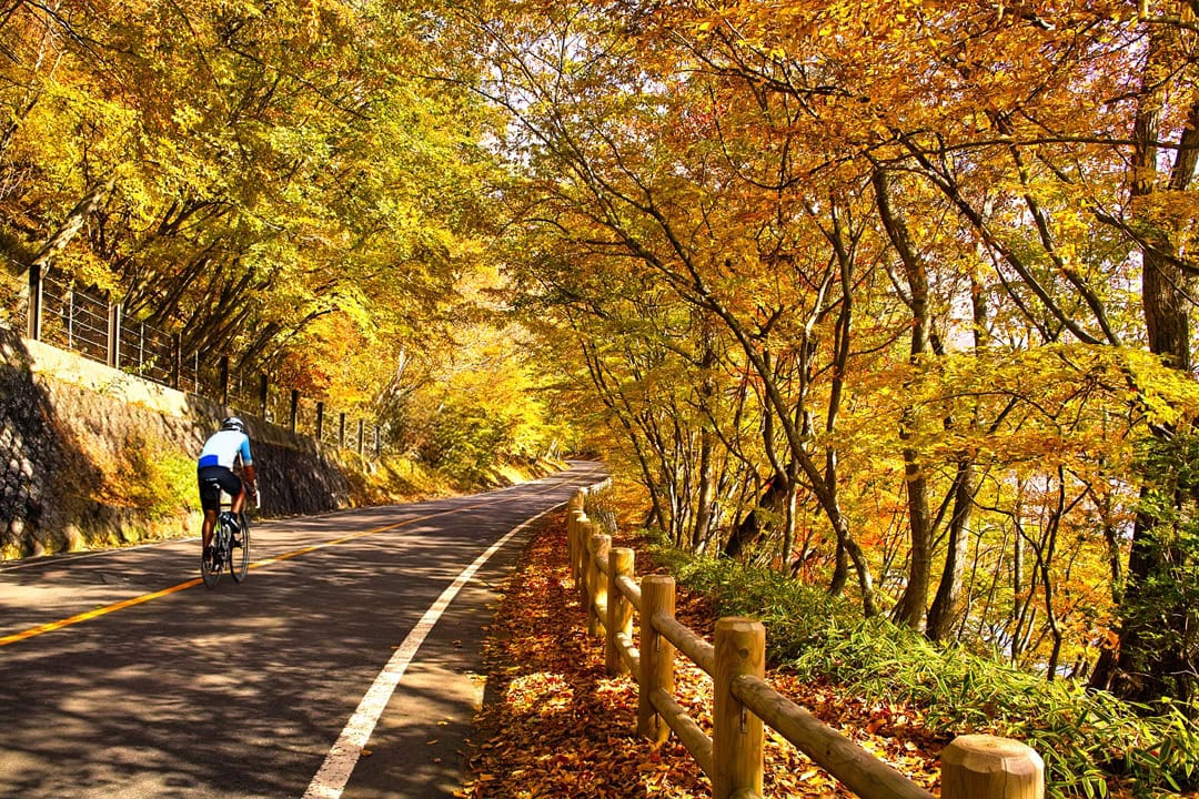 紅葉の中禅寺湖サイクリング