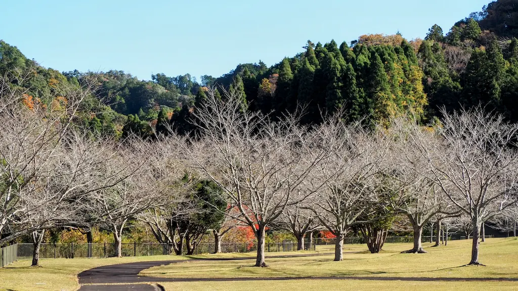 笹川湖畔に位置する道の駅ふれあいパーク・きみつ