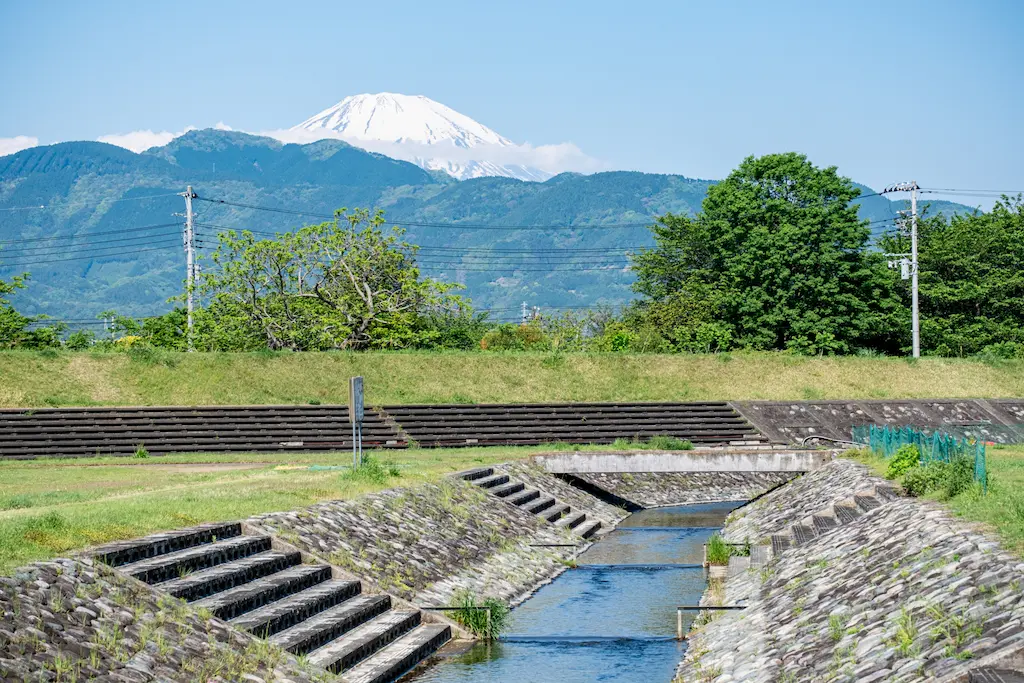 酒匂川と開成水辺スポーツ公園の風景