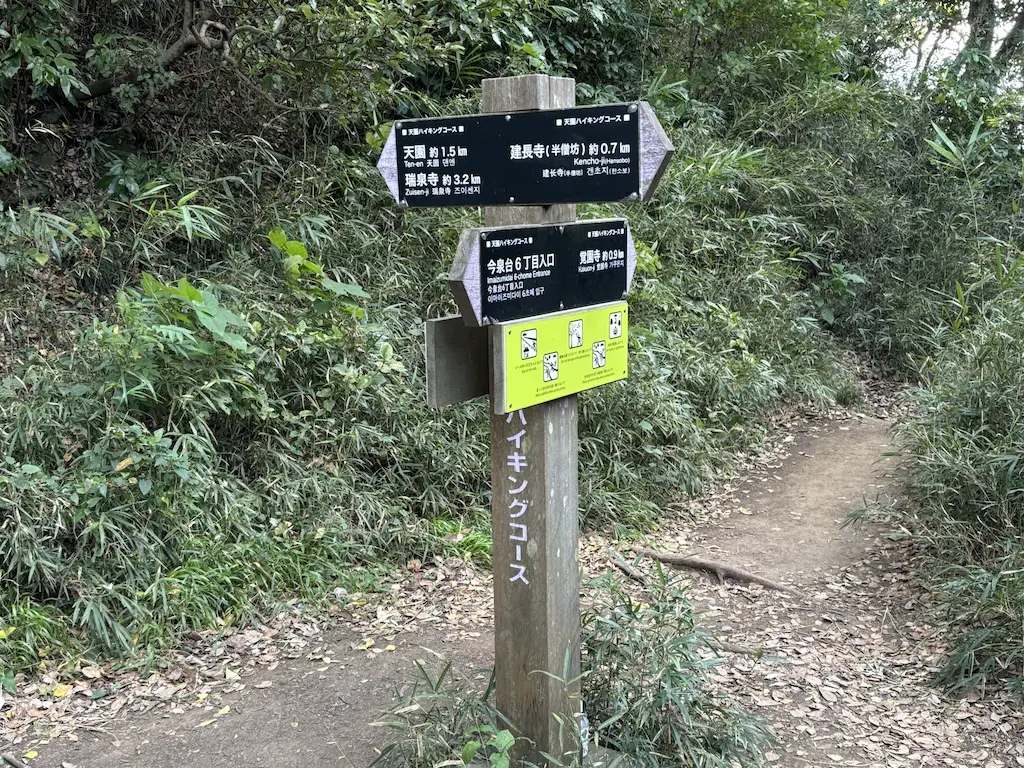 天園分岐点と周辺の自然