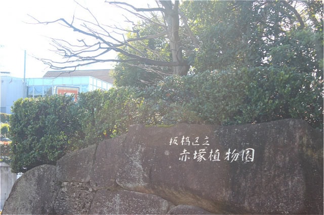 赤塚植物園