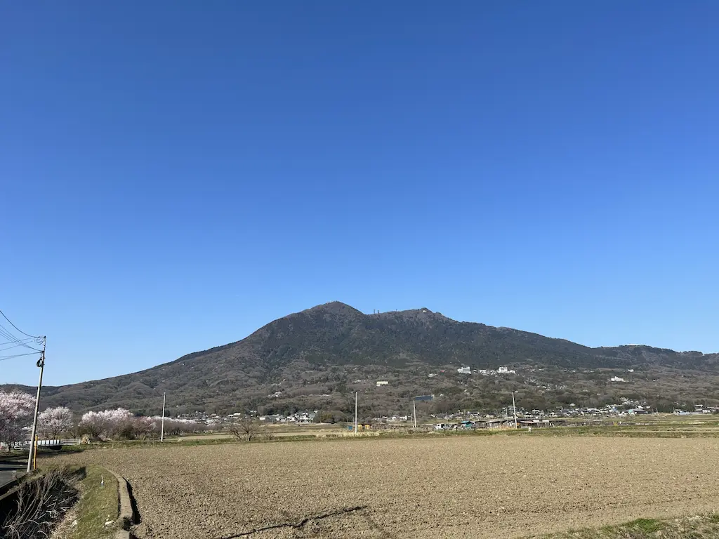 つくばりんりんロード沿いに広がる美しい田園風景