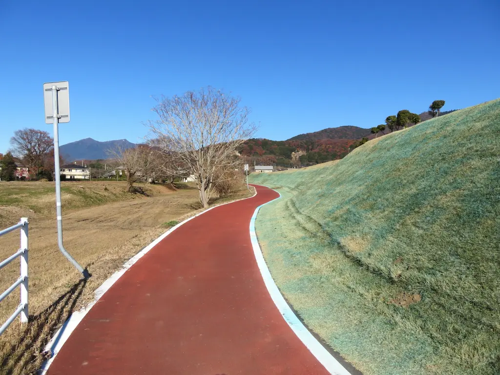 つくばりんりんロードの緑豊かなサイクリング風景