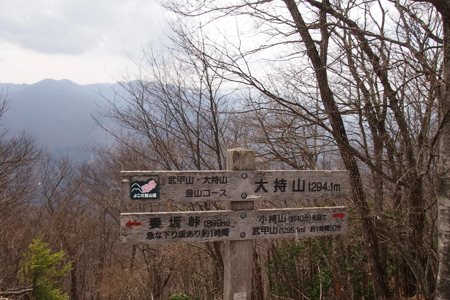 大持山(1,294m)の道標
