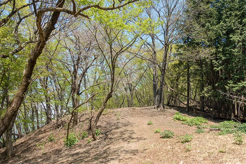 新緑の妻坂峠