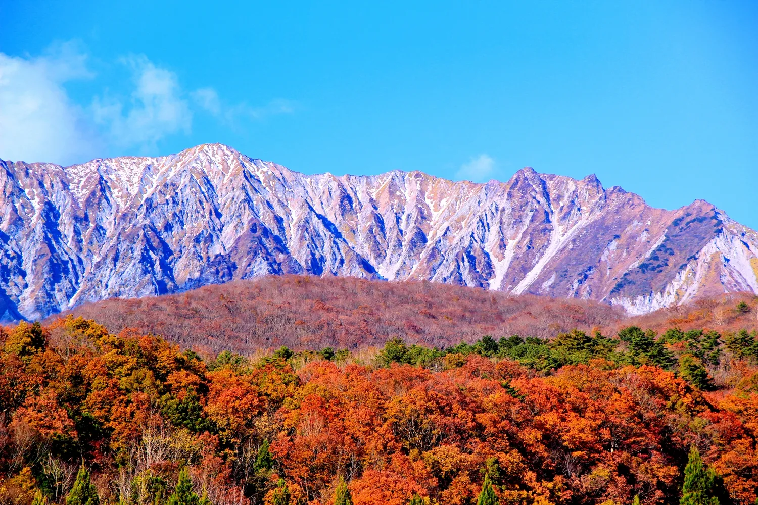 初冠雪の大山南壁と麓を彩る紅葉のブナ林