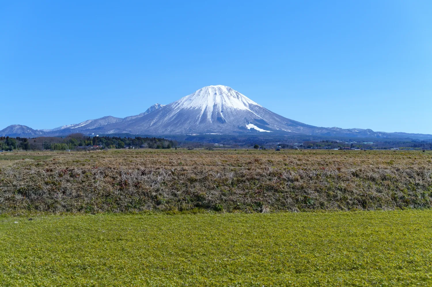田園の先にそびえる冠雪の大山（伯耆富士）