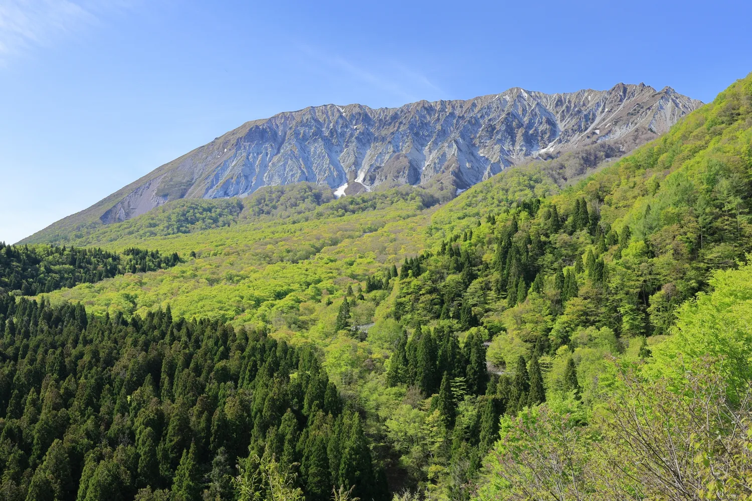 鍵掛峠から望む大山南壁と新緑のブナ原生林