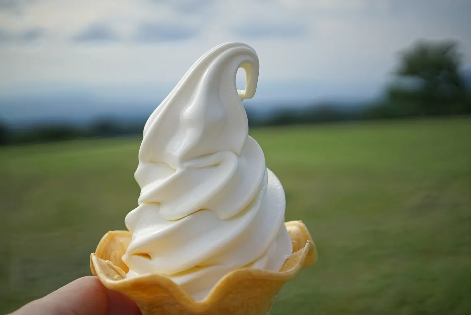 大山まきば みるくの里の名物ソフトクリーム
