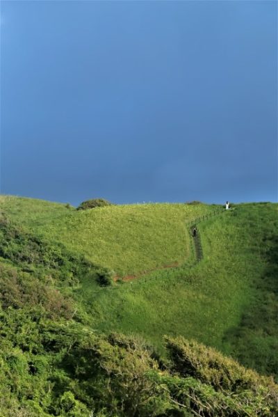 ユウスゲ公園全景