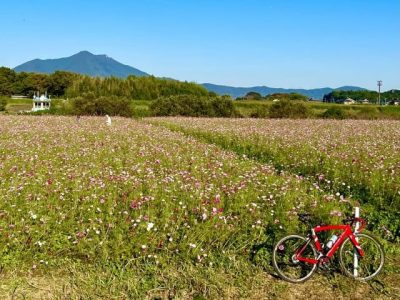 筑波山を望む