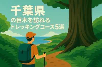 千葉県の巨木を訪ねるトレッキングコース5選