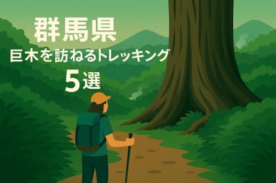 群馬県の巨木を訪ねるトレッキングコース5選
