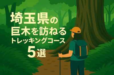 埼玉県の巨木を訪ねるトレッキングコース5選