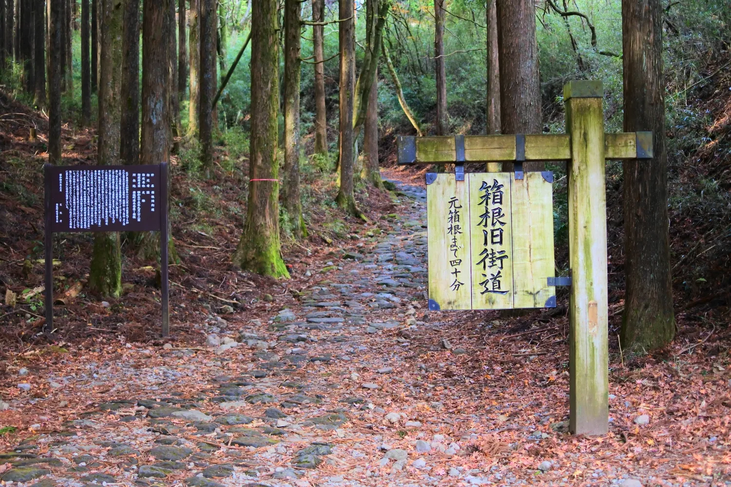 箱根旧街道の石畳と道標