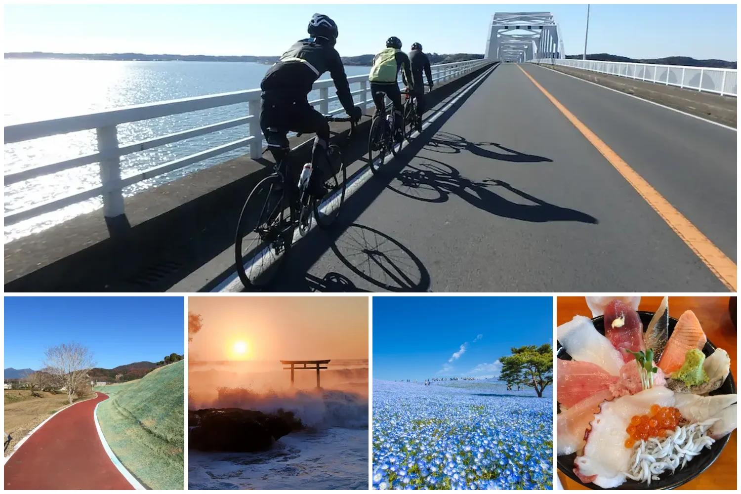 茨城サイクリング 霞ヶ浦大橋・つくばりんりんロード・神磯の鳥居・ネモフィラ・海鮮丼
