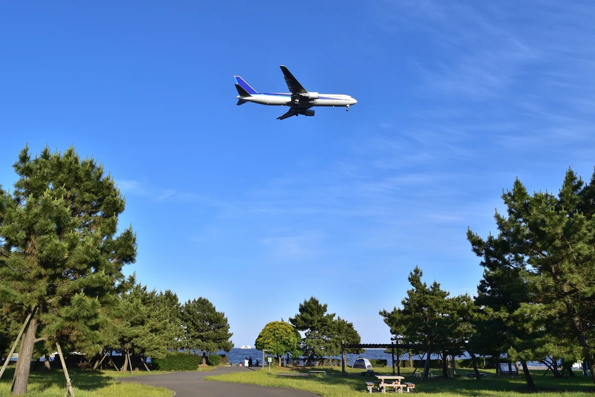 城南島海浜公園 第一キャンプ場と、頭上を飛ぶ飛行機