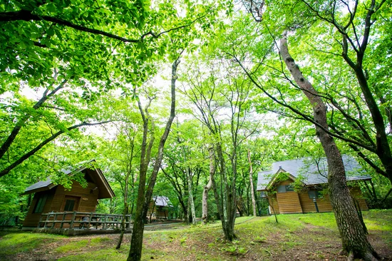 榛名湖オートキャンプ場のバンガロー