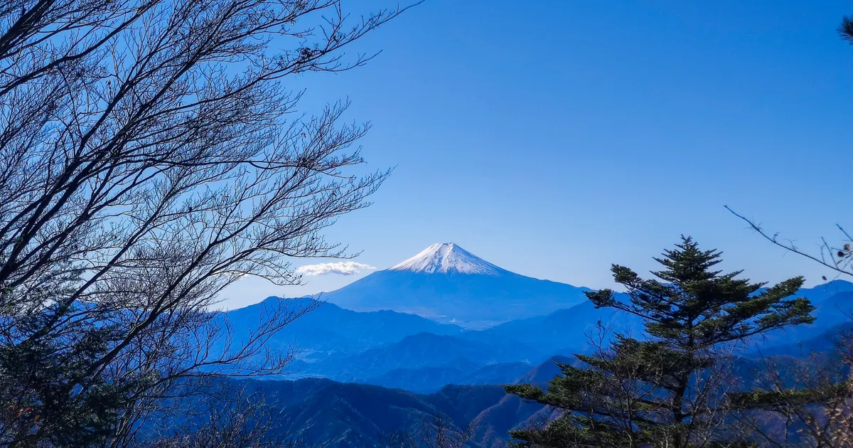 三頭山から望む雪をいただいた富士山
