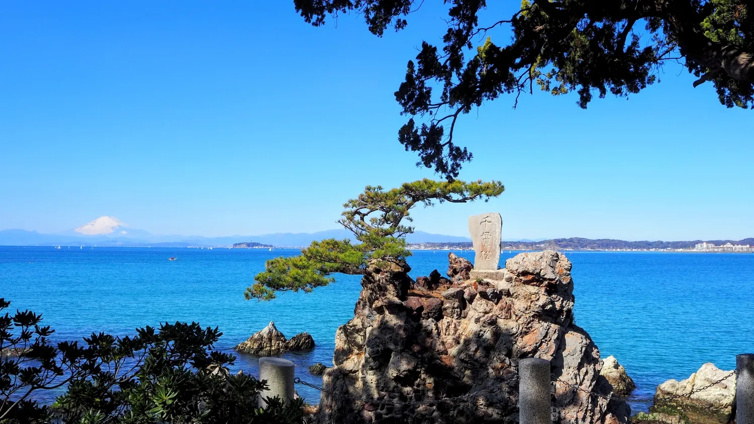 森戸神社の千貫松と相模湾・富士山