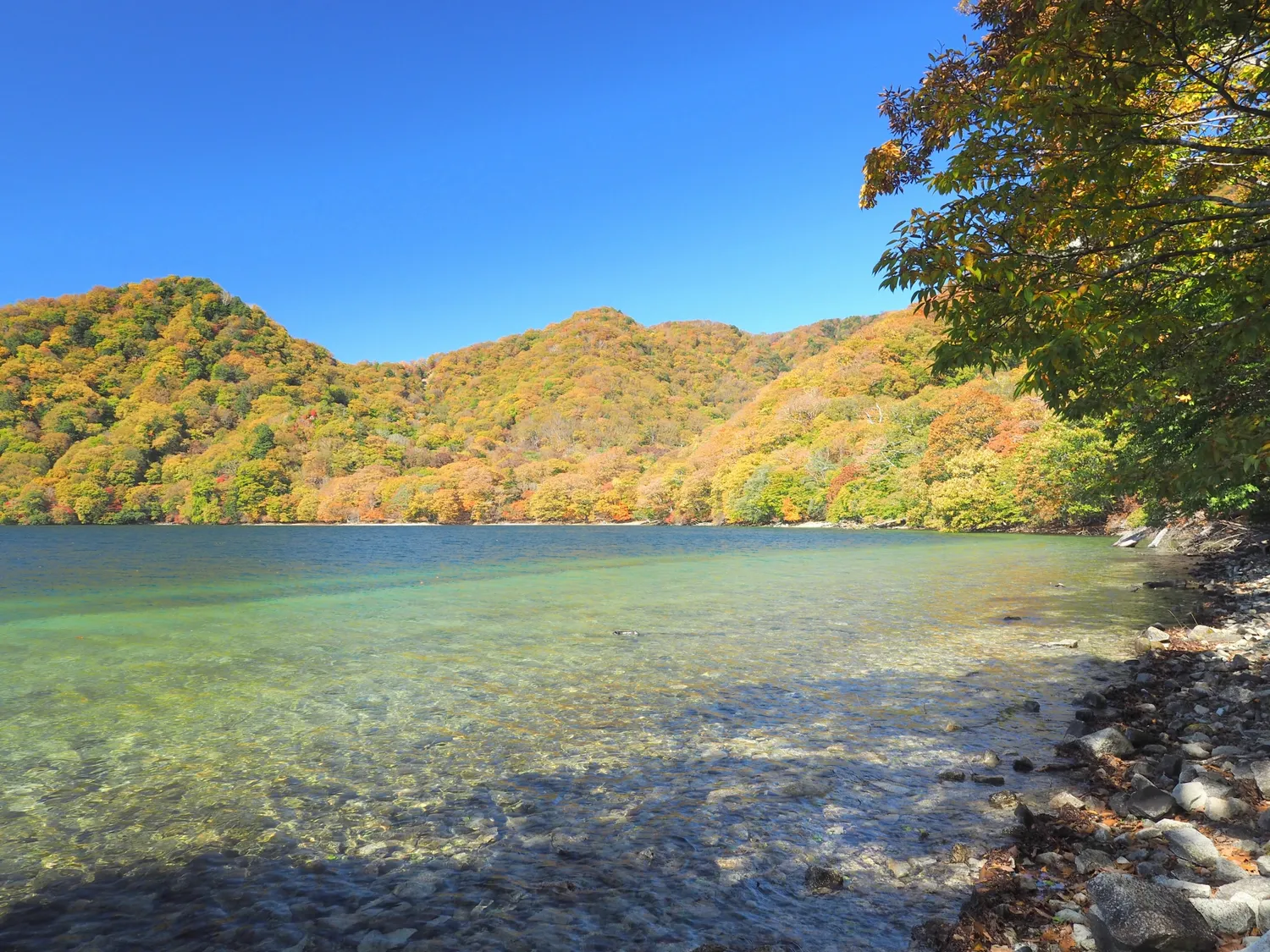 紅葉に染まる中禅寺湖の湖畔