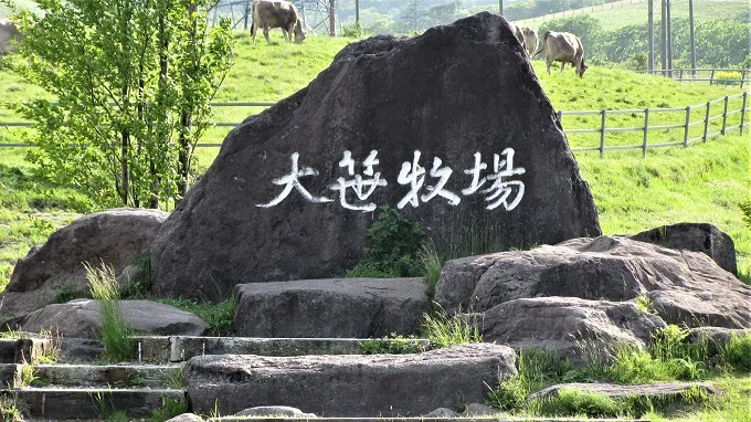 大笹牧場の石碑と放牧された牛