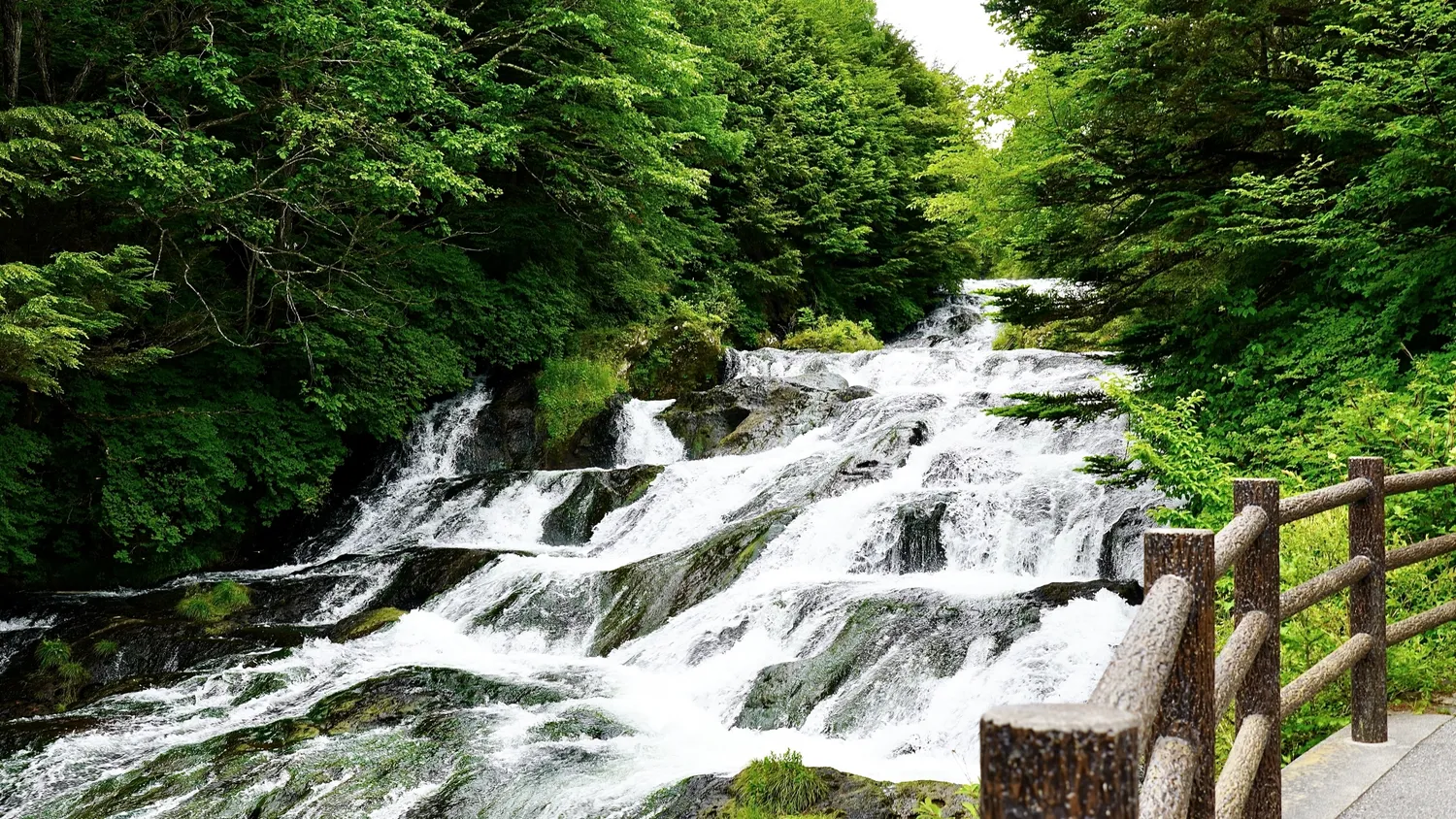 新緑の竜頭ノ滝